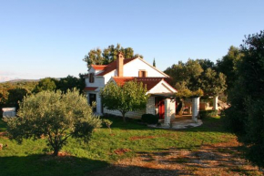 Family friendly house with a parking space Pucisca, Brac - 749